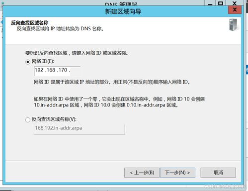 DNS部署与安全 构建稳健的网络与信息安全基础